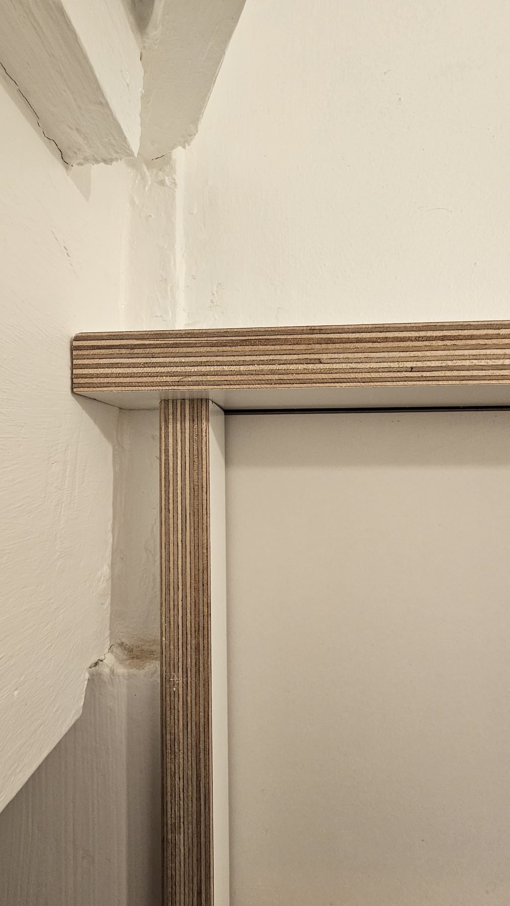 Close-up of the birch ply edge on the toilet door surround